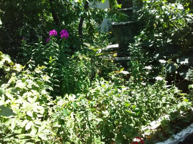 Фотография номера гостевого дома Lovely Home For You