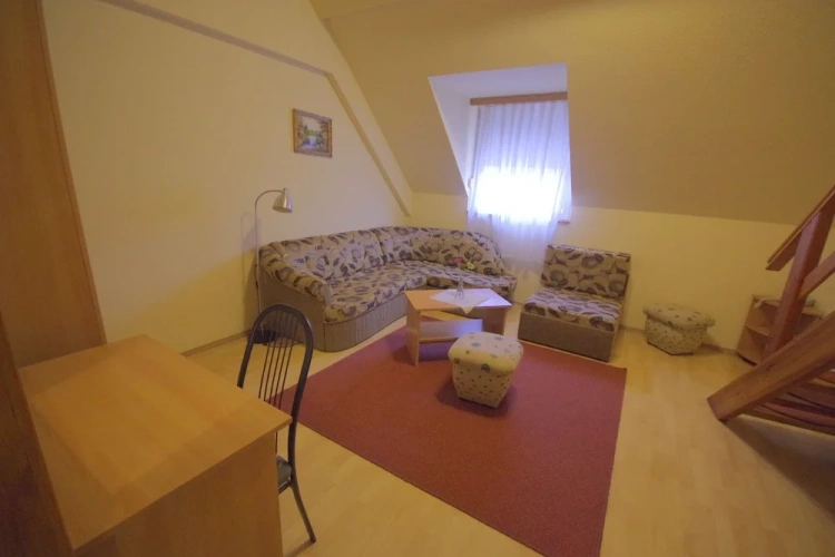 Standard Double room with view