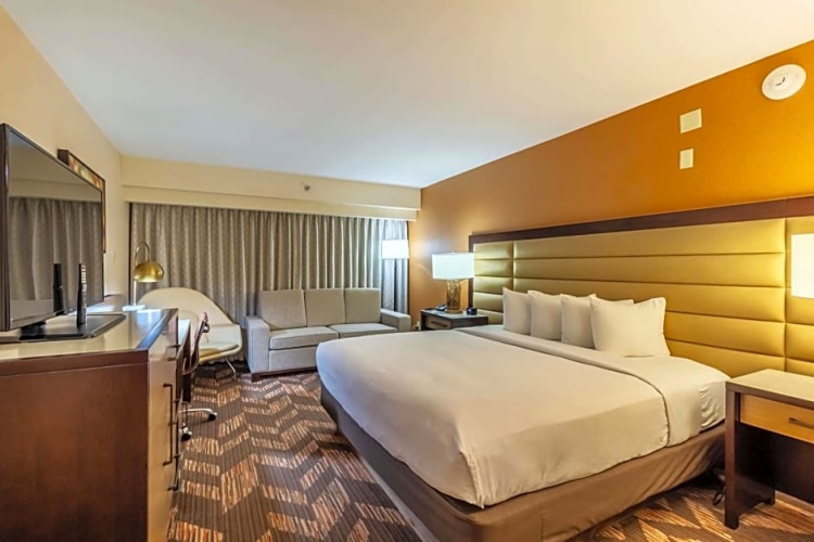 Executive Single Suite
