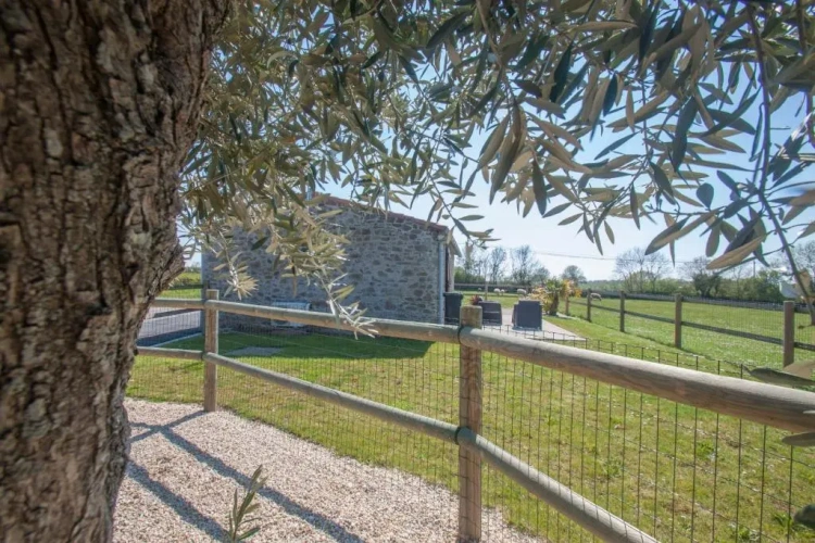 1 Bedroom Cottage