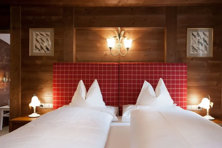 Standard Double room with mountain view