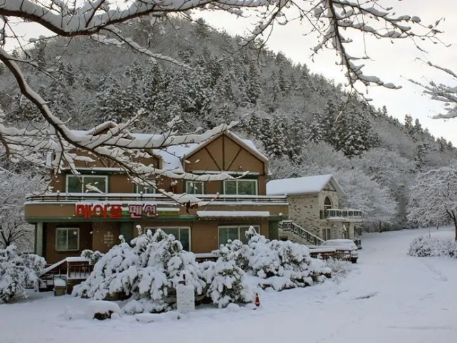 Maple pension
