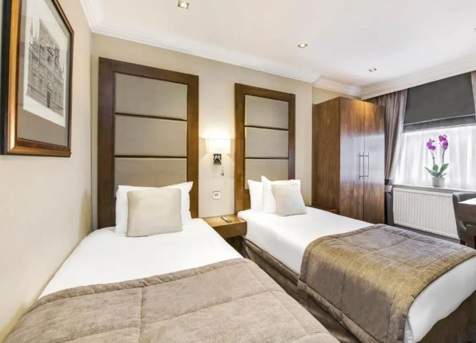 Superior Twin room