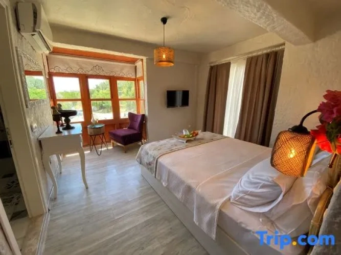 Deluxe Double room with garden view