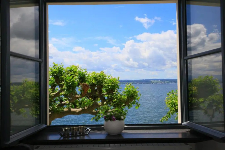 Alte Molke Apartment 2