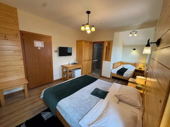 Standard Triple Family room
