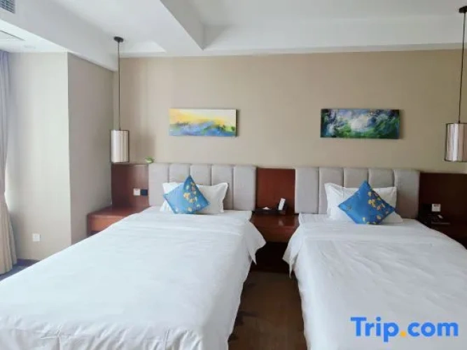Standard Double room with city view