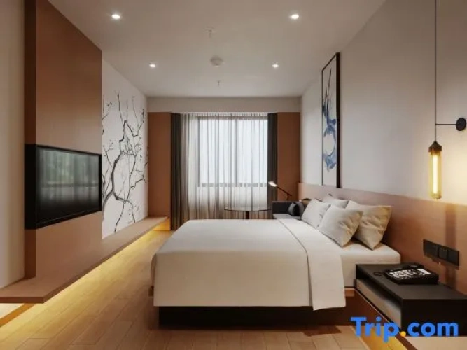Twin Suite