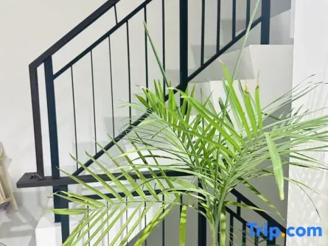 winner house