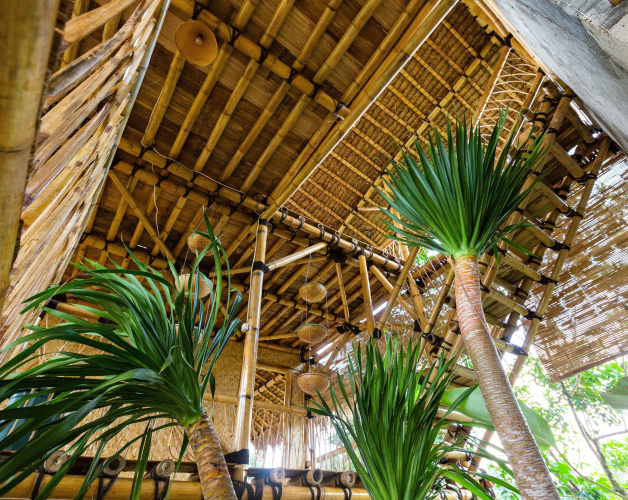 Bamboo & B - Hostel