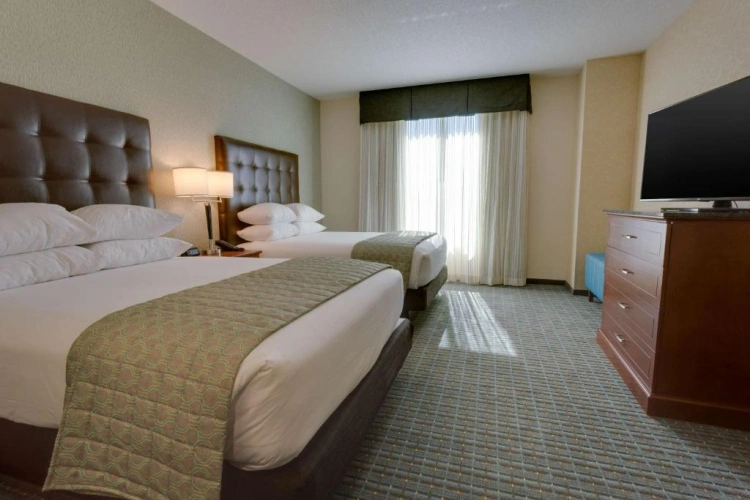 Deluxe Double Suite