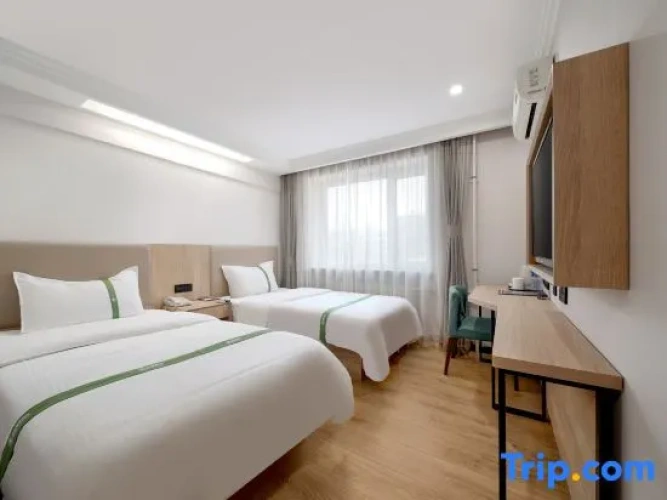 Business Double room with street view