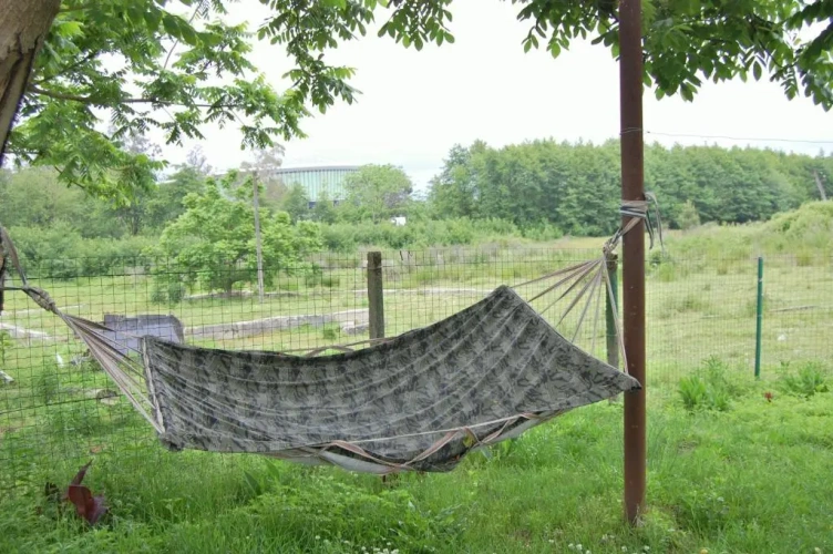 Standard Villa