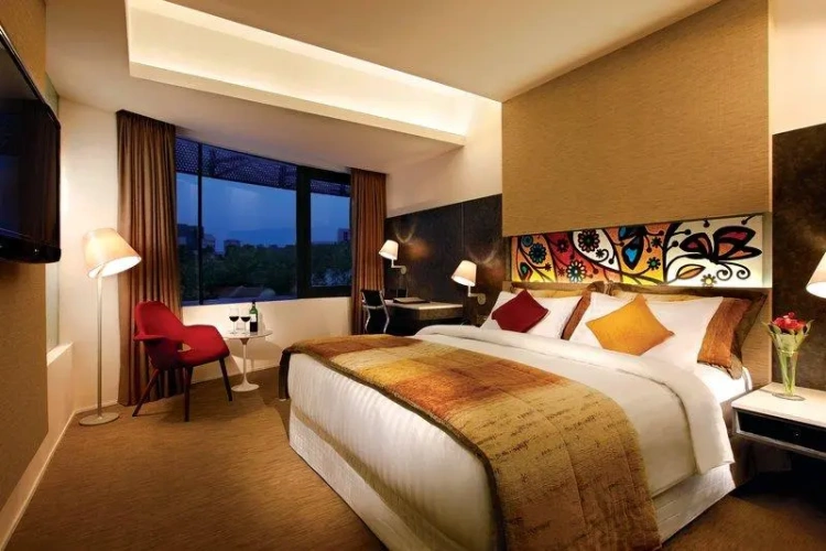 Executive Single room