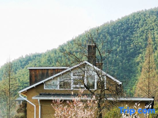 Outside