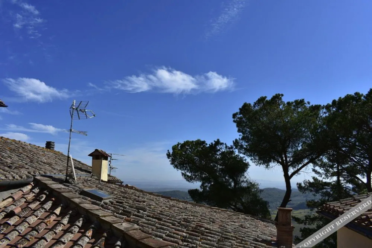 Il Buonumore