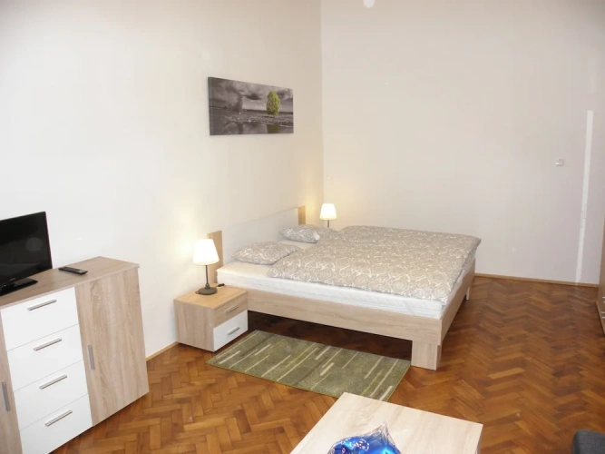 1 Bedroom Premium Apartment with city view