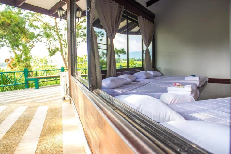 Bird Land Resort
