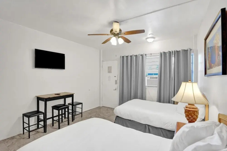 Lovely Hallandale Beach Studio