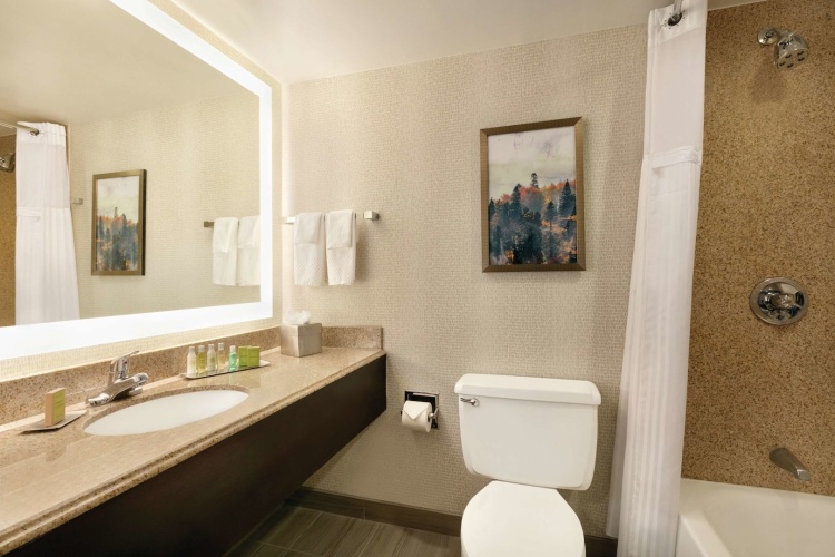DoubleTree by Hilton Hotel Atlanta - Northlake photo 11
