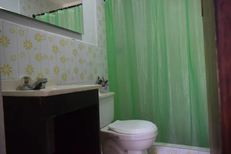 Mango Tree Hostel 4 20