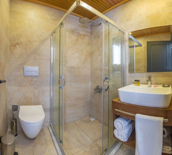 1 Bedroom Standard room with pool view