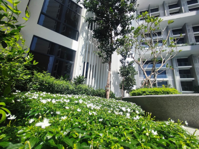 Seaview Bliss Studio By Tropical Elegance - Kota Kinabalu