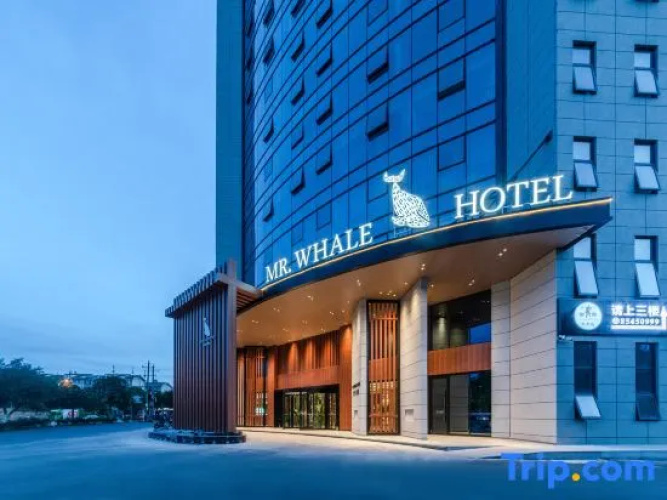 Mr. Whale Hotel