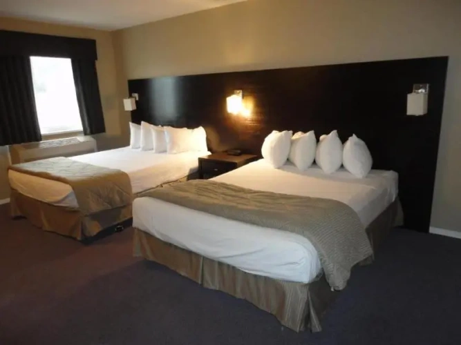 Quadruple Suite