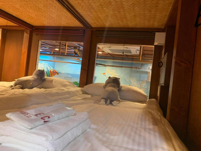Cat Spa & Cat Ryokan by Neco Republic Osaka