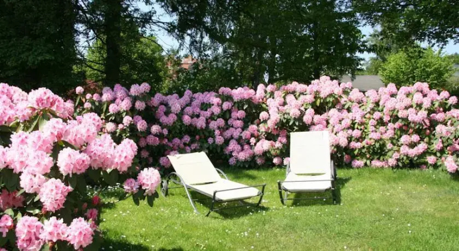 Pension Villa Edelweiß