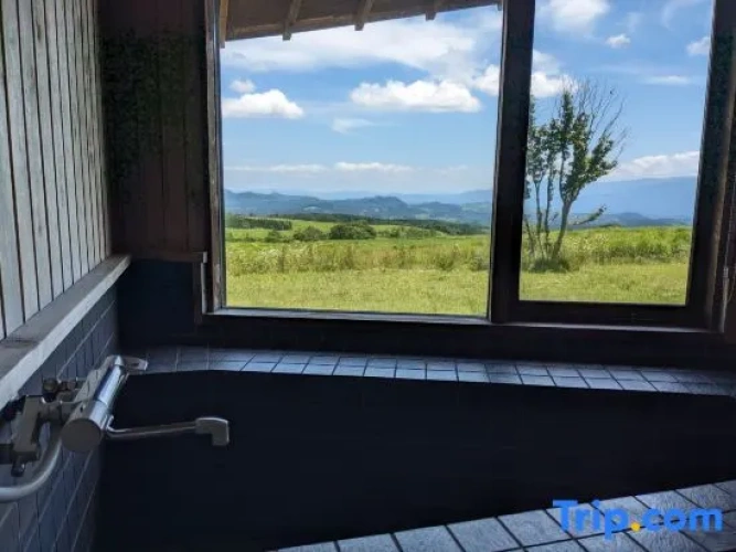 Standard Twin room with garden view