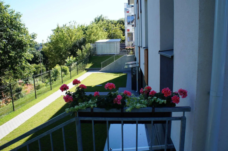LiveVilnius.LT
