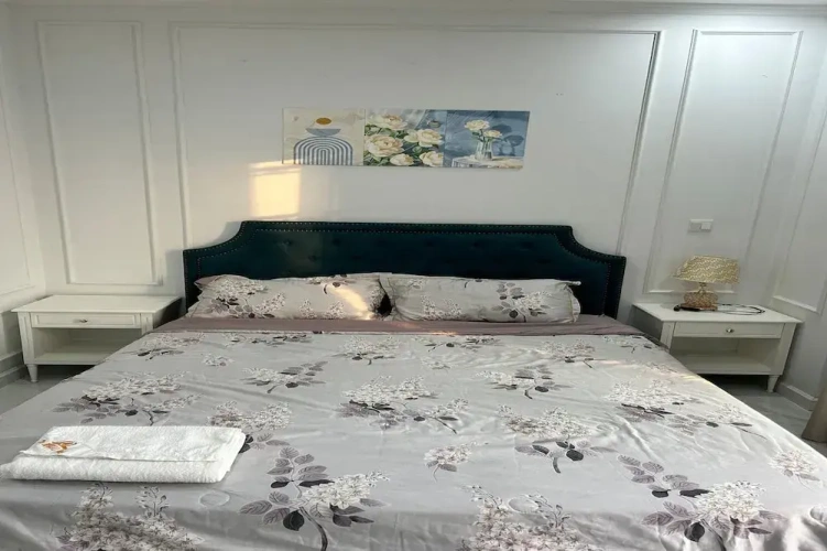 1 Bedroom Superior Apartment with city view