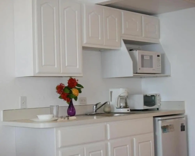 Superior Double room with balcony and with ocean view