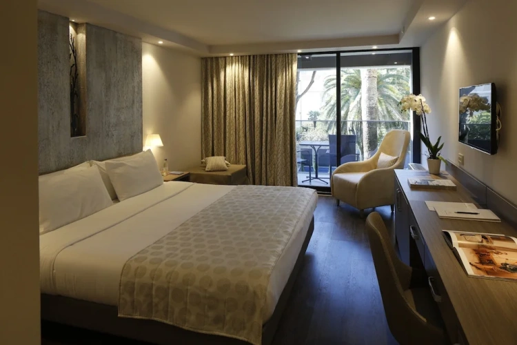 Deluxe Double room with balcony and with park view