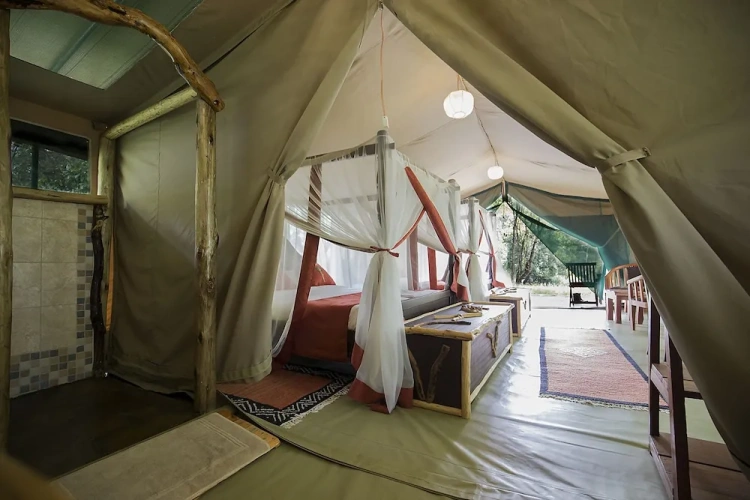 Tent