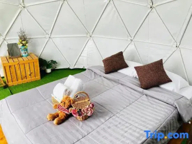 Phuchifa Sky Camp