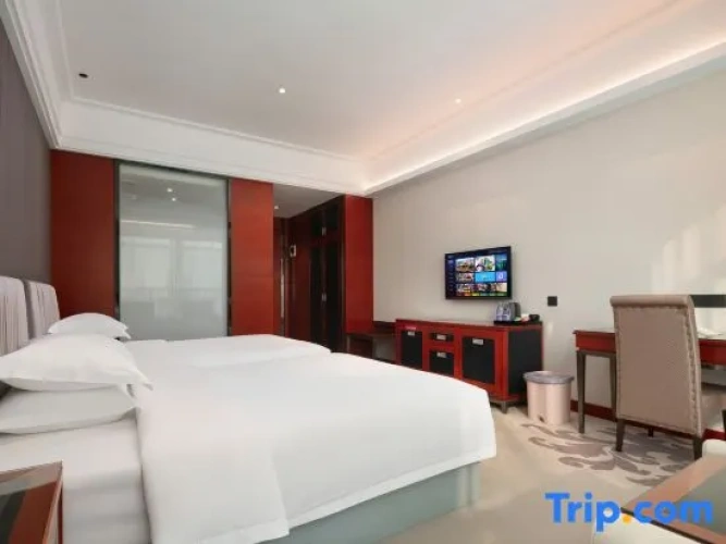 Comfort Twin Suite