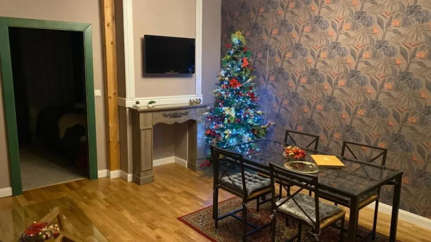 Deluxe Apartment