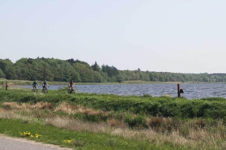 Engesvang Bed & Breakfast