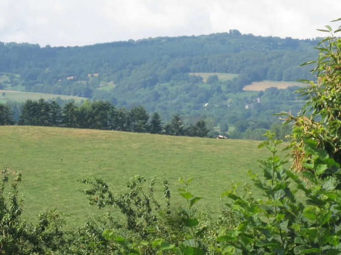 Le Petit Clos