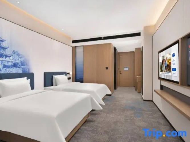 Superior Twin room with city view