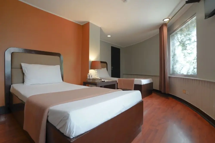 Deluxe Single room with city view