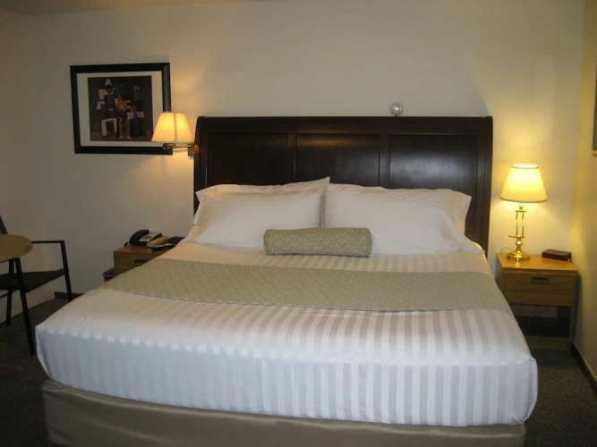 Standard Double Basement room