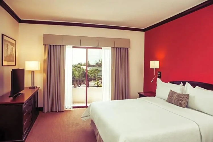 Superior Double room with balcony and with view