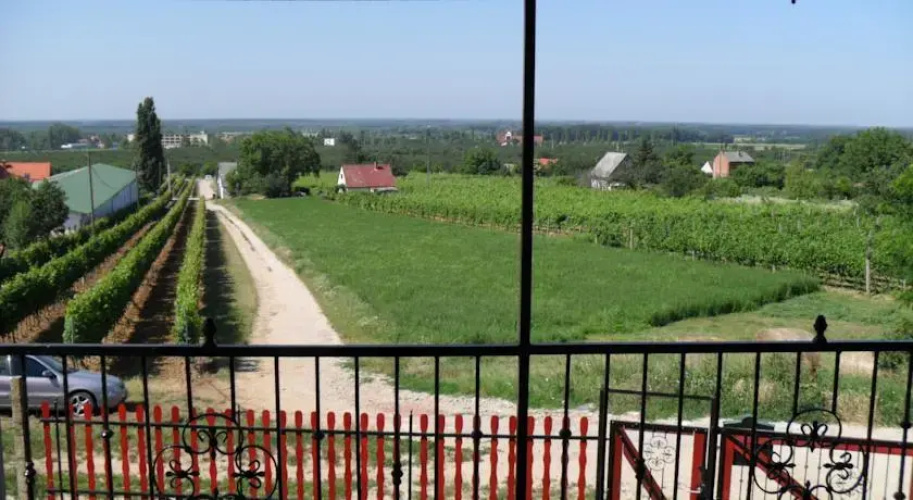 Edina Apartman