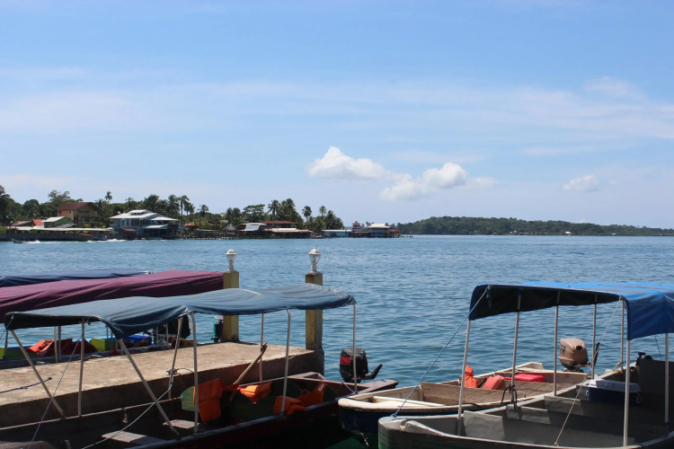Coconut Hostel