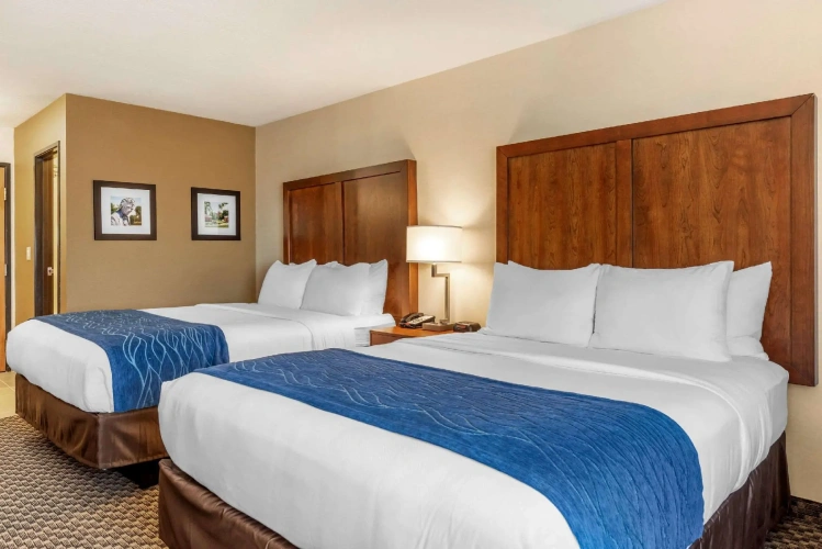 Quadruple Suite