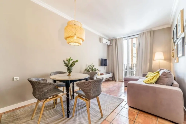 1 Bedroom Apartment